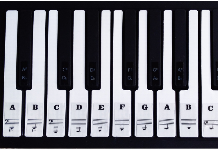 钢琴贴纸黑键白键通用88/61/49键音阶贴纸五线谱简谱英文字组