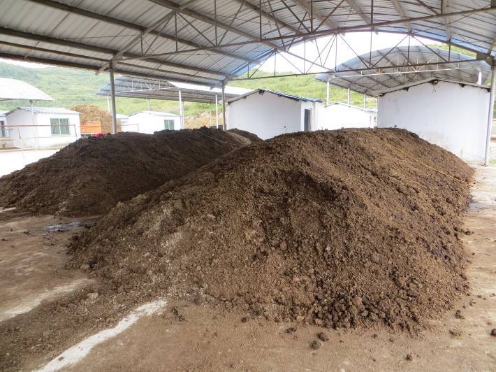 哪个牌子的有机肥发酵剂发酵牛粪做有机肥好