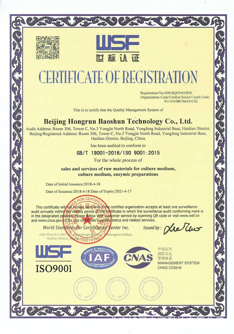 北京鸿润宝顺荣获iso9001质量管理体系认证证书