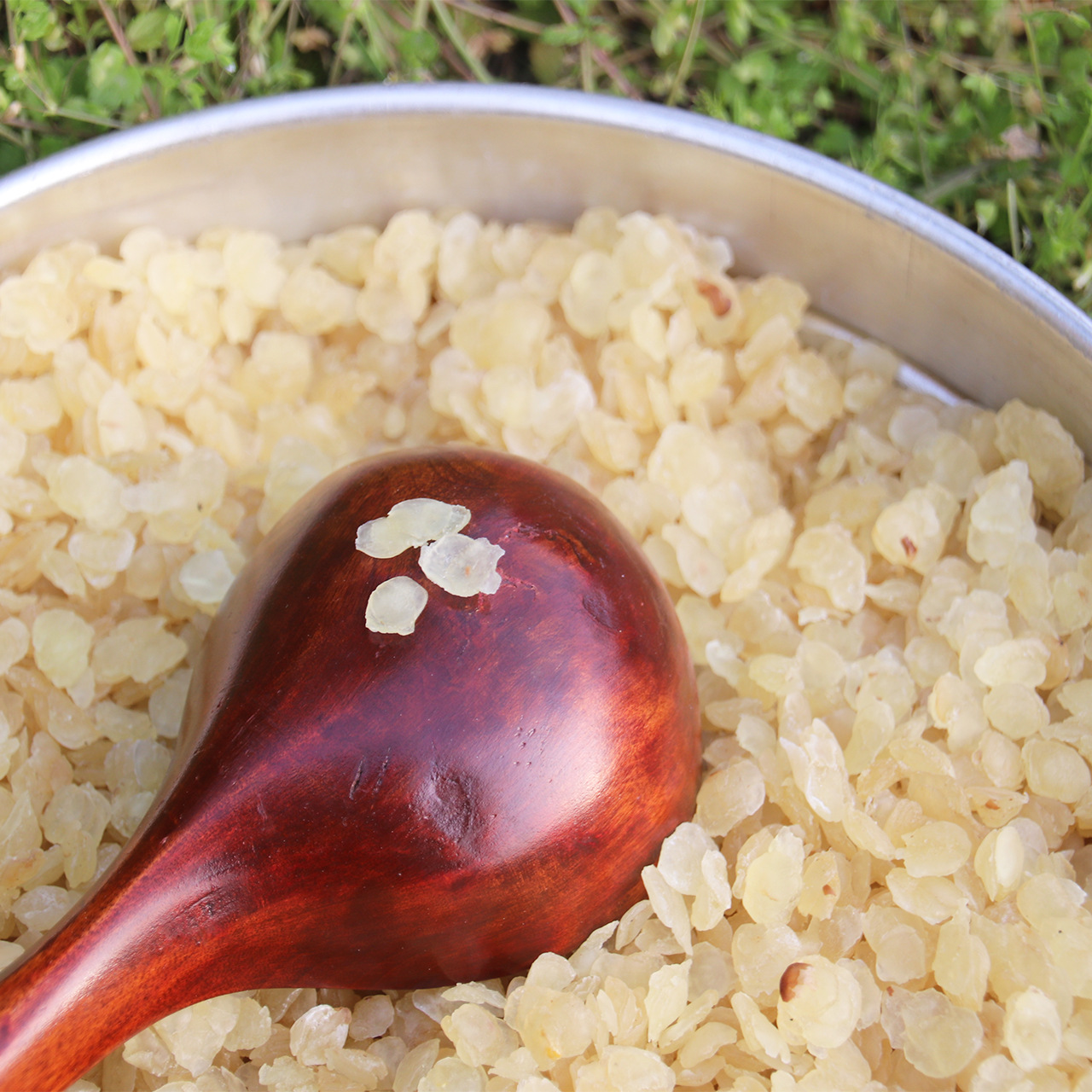 贵州皂角米_一贵州单夹皂角米 双荚野生皂荚 无硫雪莲子支持代发