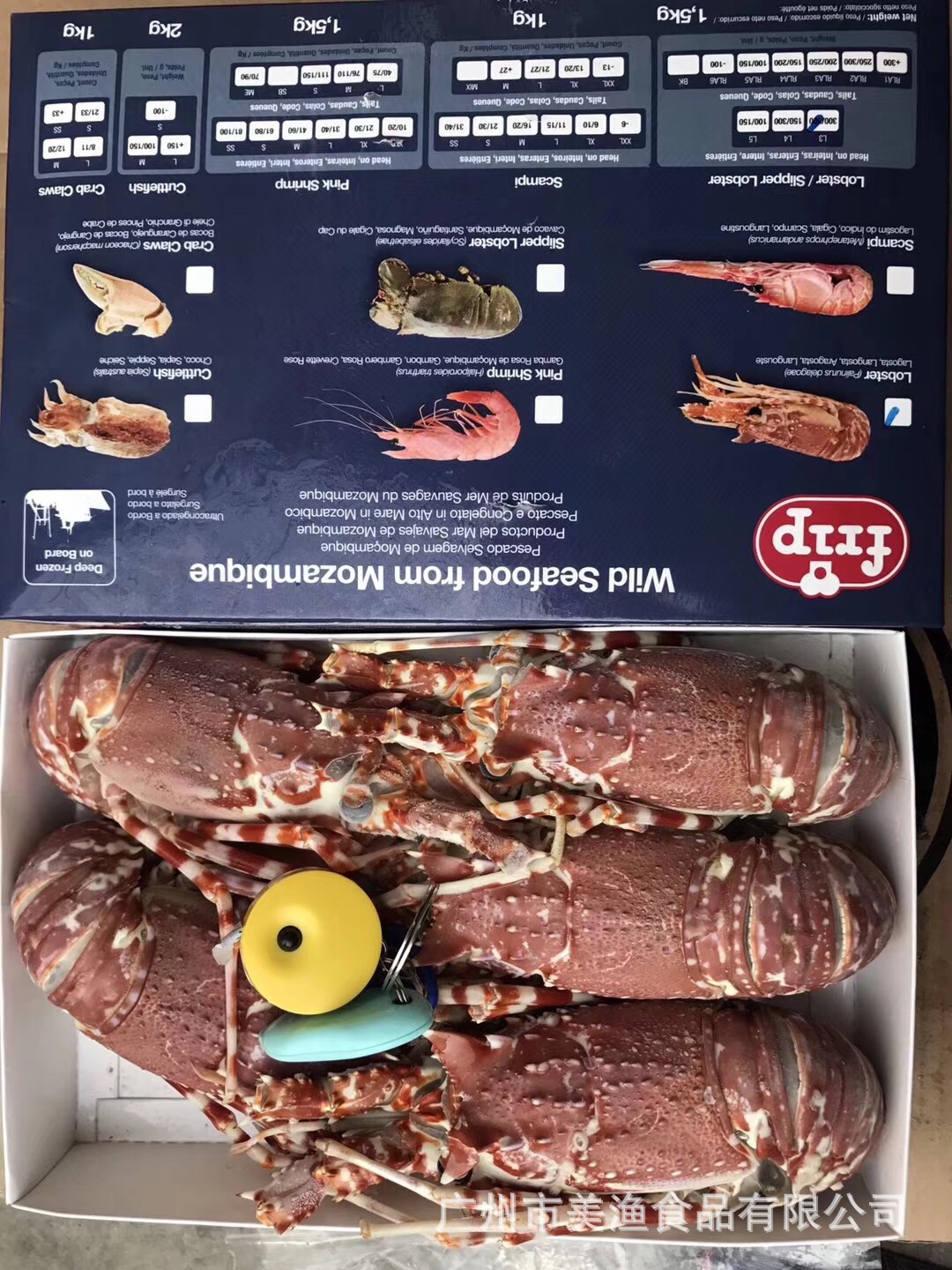 刺身级别 冷冻大虾 莫桑比克 野生 玫瑰龙虾 澳洲花龙虾 1500g/盒