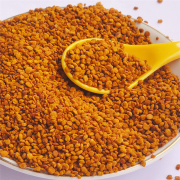 茶花粉茶叶蜂花粉颗粒蜂场蜜蜂直采未破壁蜂花粉新粉批发包邮