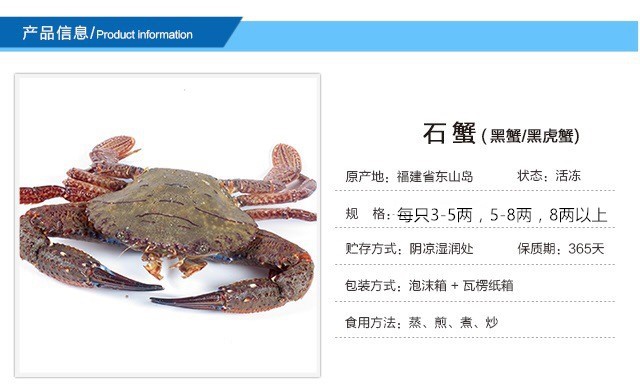 活冻黑虎蟹 黑蟹 石蟹,深海野生,肥美多肉,美味实惠
