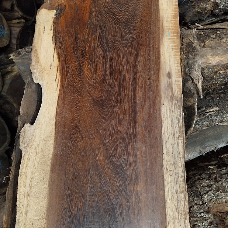 正宗老挝铁刀木鸡翅板材 老挝鸡翅原木 铁刀木原木 供应