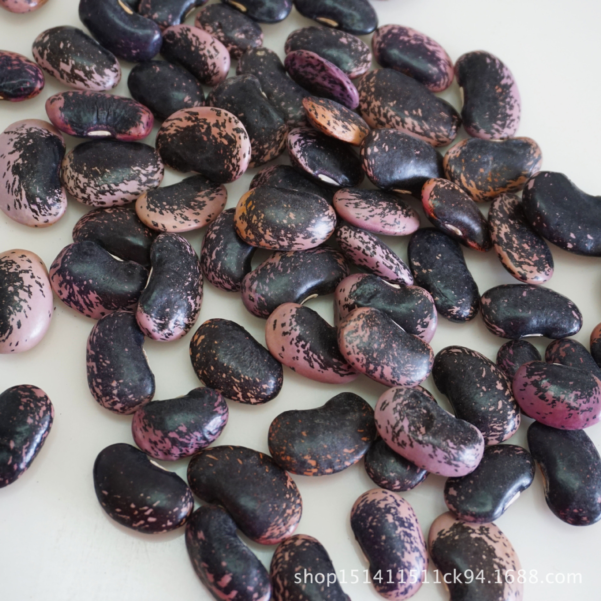 批发云南大黑花芸豆农家种植 牛眼豆五谷杂粮粗粮 袋装25kg