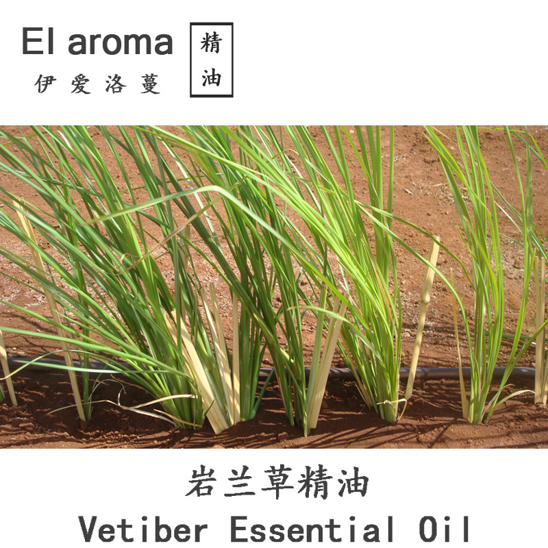 爪哇岩兰草精油vetiver香根草单方精油芳疗面部5ml起订