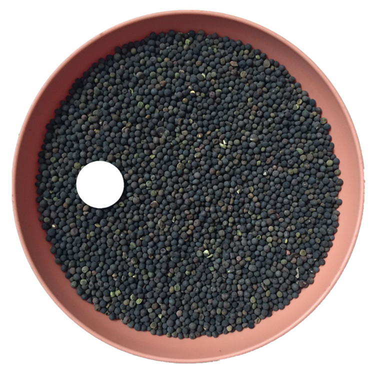 果园绿肥种子光叶紫花苕长柔毛野豌豆毛苕子养蜂蜜源植物厂家直销