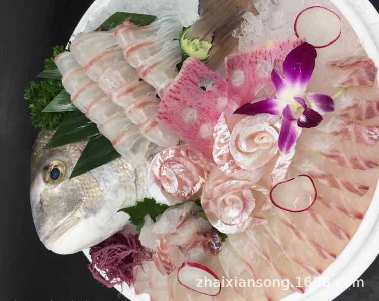 广州加吉鱼活鱼 真鲷刺身铜盆鱼约2-4斤条深海水产红鲷鱼