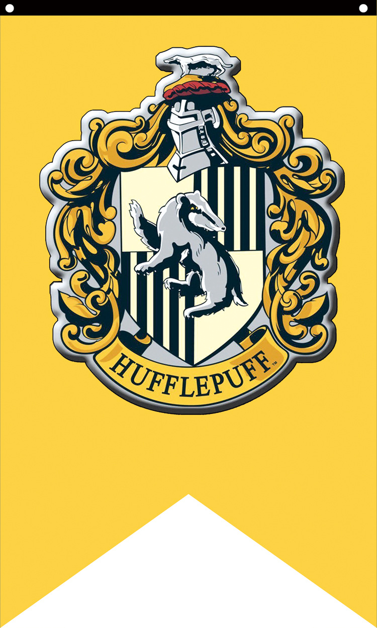 跨境电商专供权利的游戏家族旗帜哈利波特装饰挂旗魔兽挂旗定做