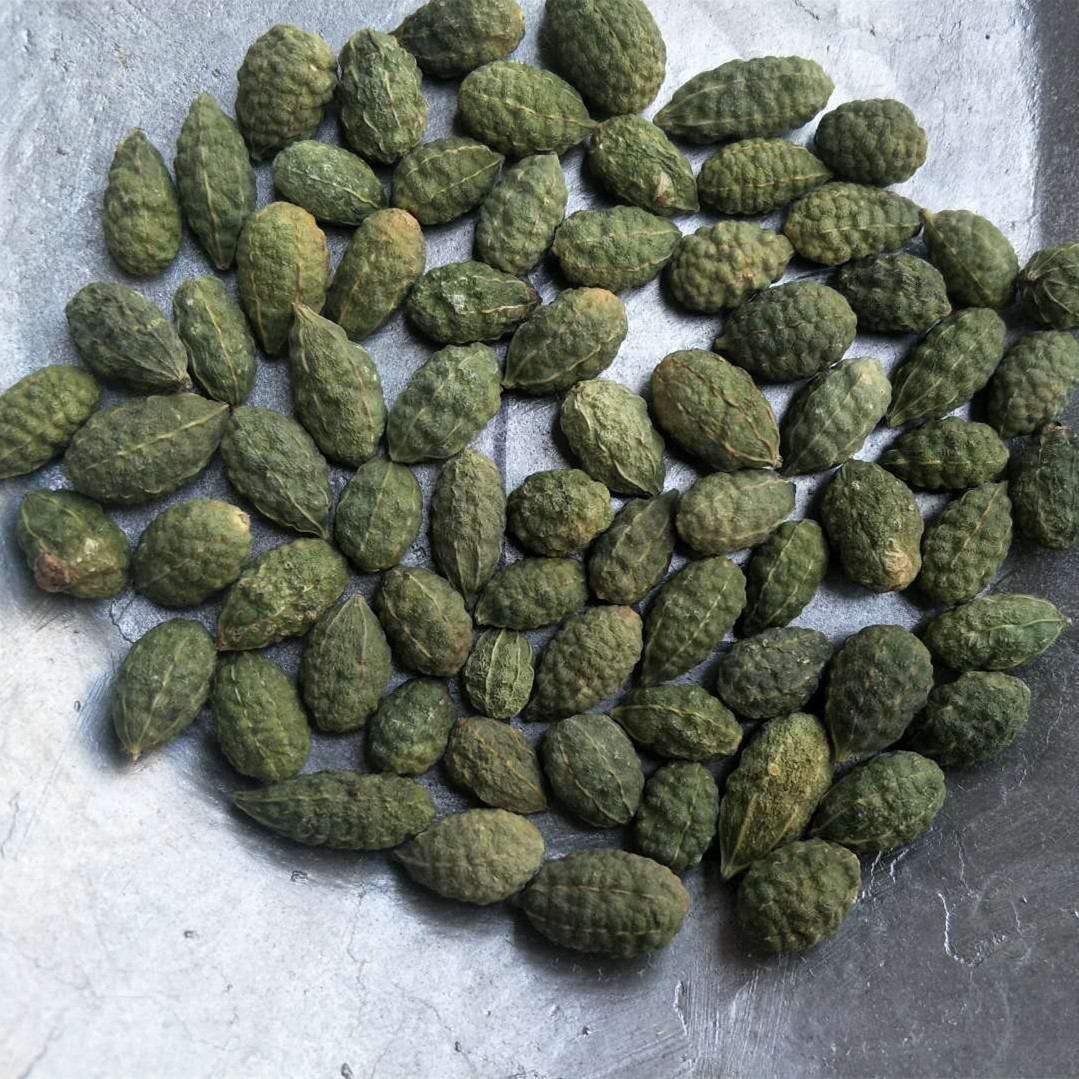 无硫新货 中药材 野西瓜 老鼠瓜 勾刺槌果藤 抗旱草 支持药检