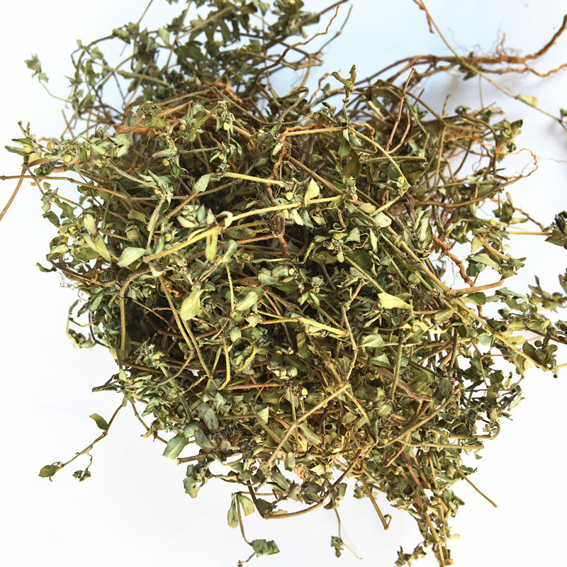 中药材 地锦草野生新货 地锦草 血见愁 卧蛋草铺地草 1000g奶浆草