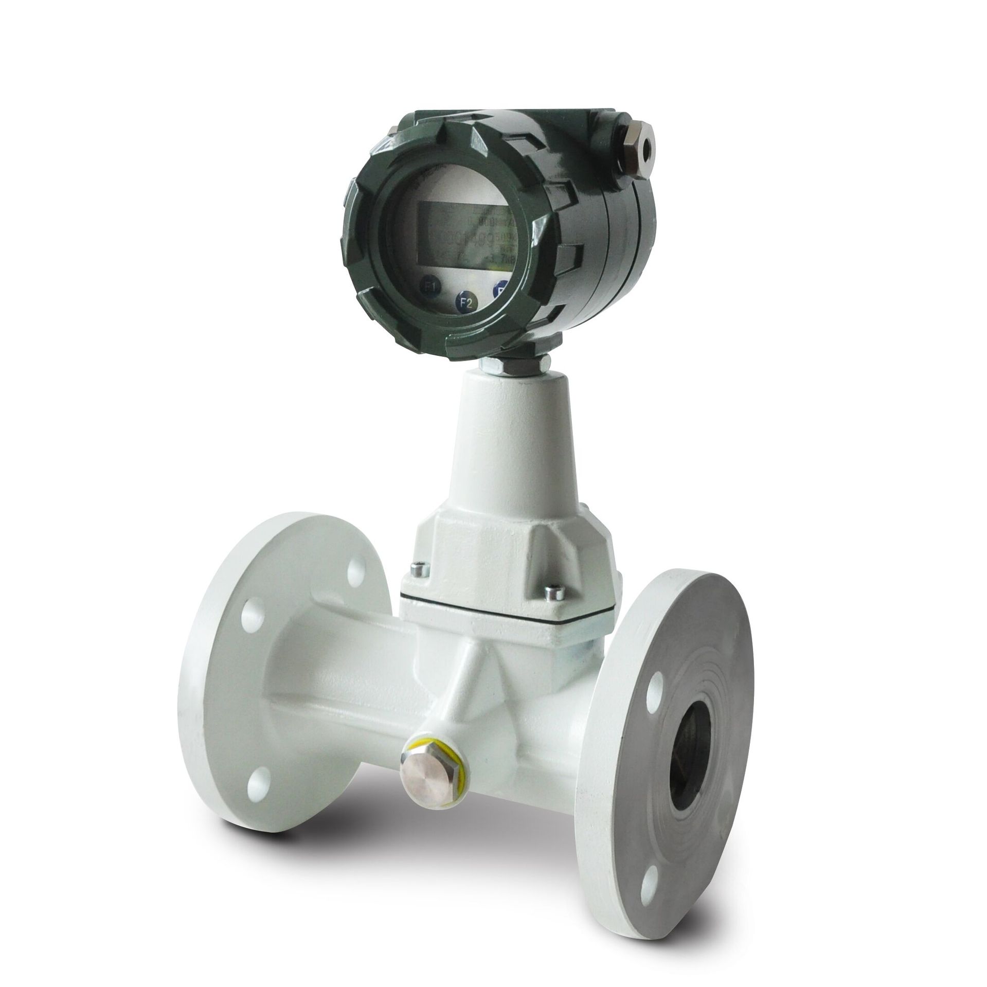 上海厂家供应智能防爆旋进漩涡流量计 可测煤沼天燃气液化气