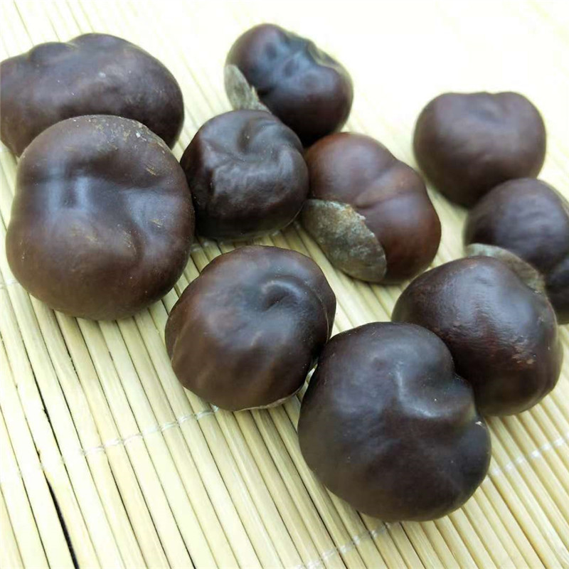 娑罗子中药材 梭罗子 婆罗子 桫椤果 支持药检 产地货源 承接订单