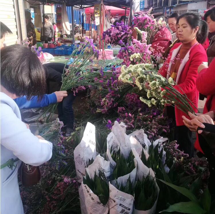 云南十八怪鲜花论斤2018新产品江湖地摊热卖货源厂家一手货源