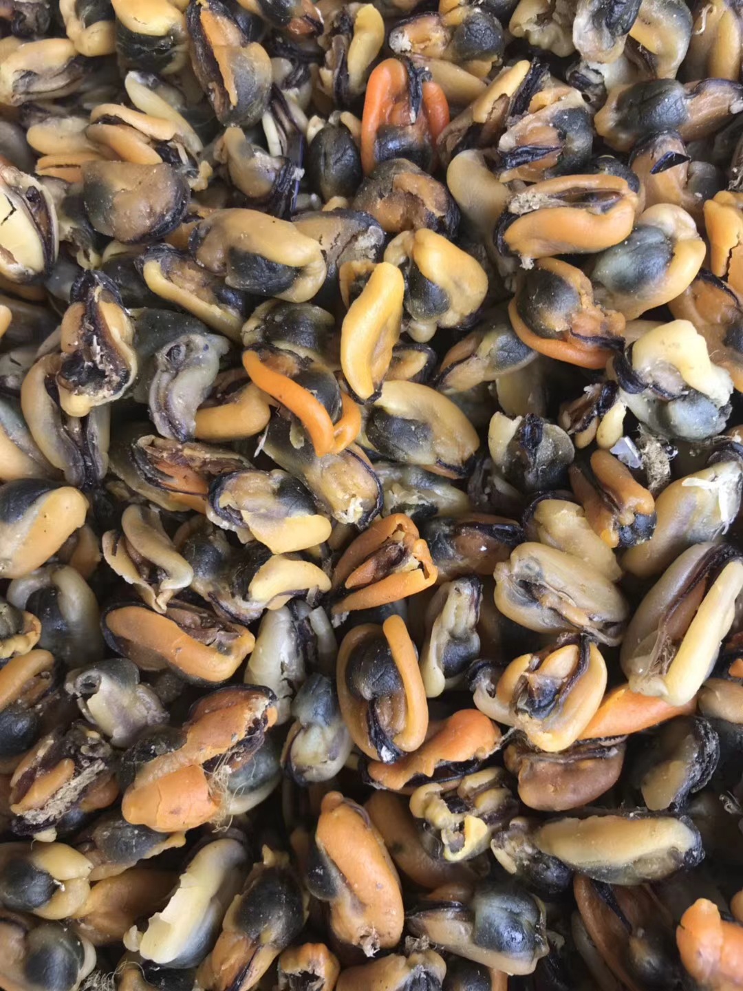 淡菜 淡菜干 海虹 山东菜 海鲜干货 海味干货