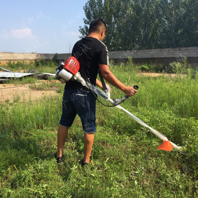 家庭适用割草机 路面养护割草机 汽油割草机图片