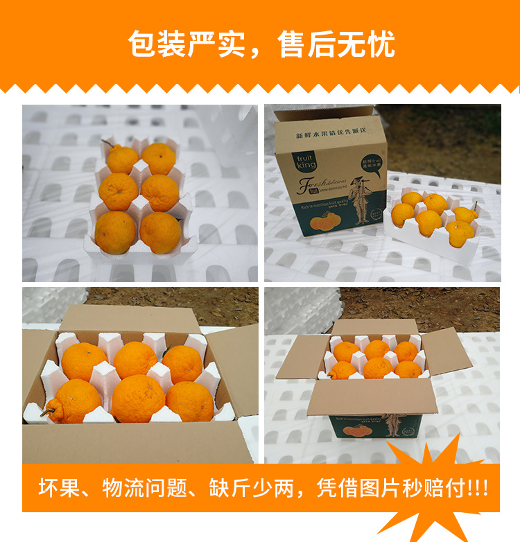 大果5斤四川蒲江不知火丑柑丑橘非耙耙柑现摘新鲜水果