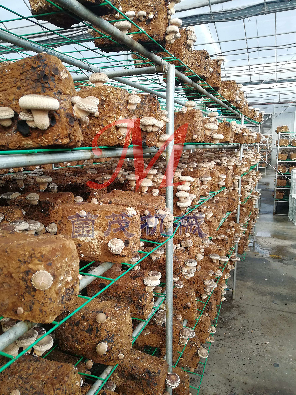 香菇全氧发菌菌袋香菇菌砖香菇太空包香菇透气袋