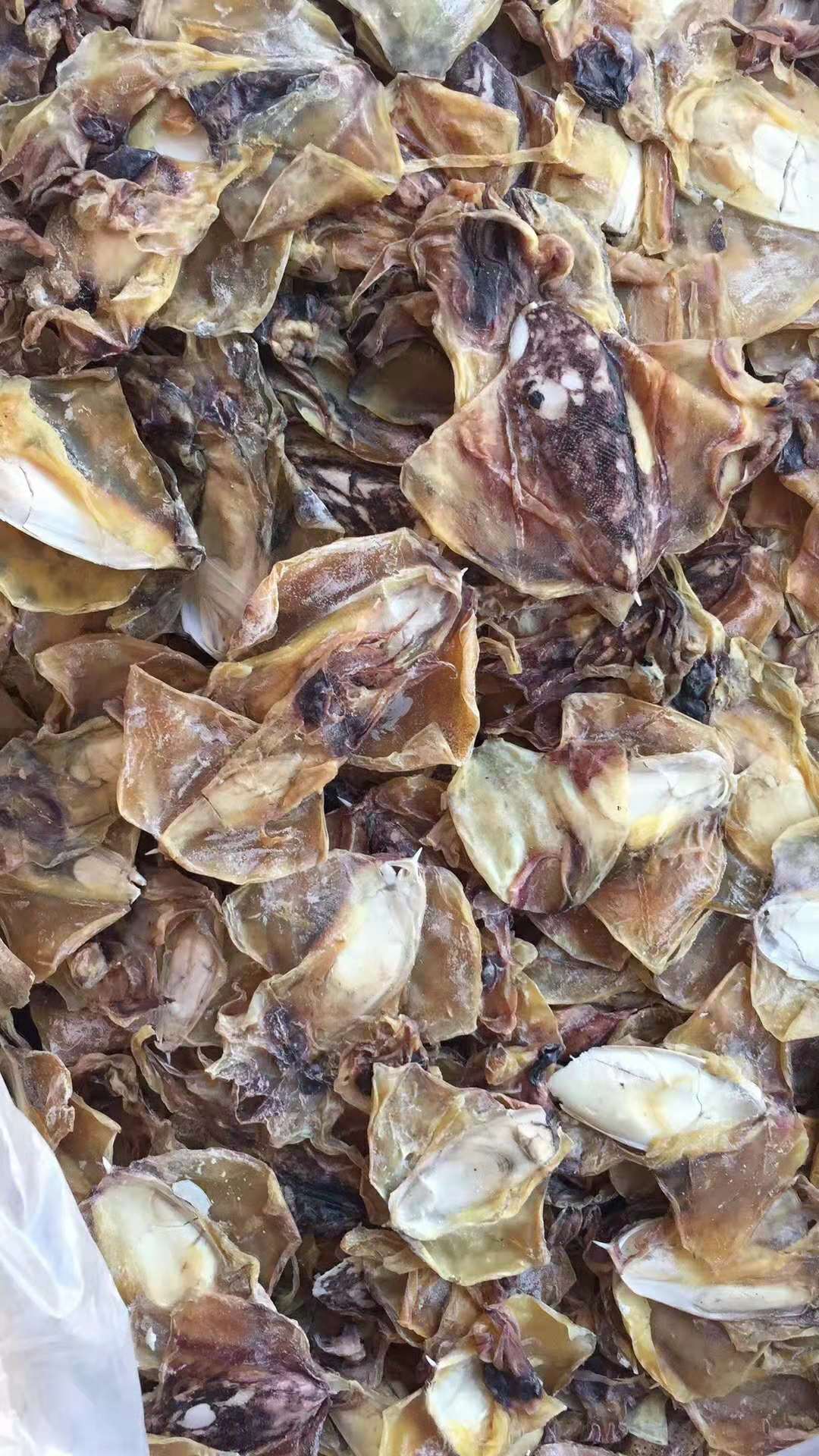 北海纯淡大墨鱼干乌贼目鱼 渔船淡晒墨鱼乌鱼海鲜干货