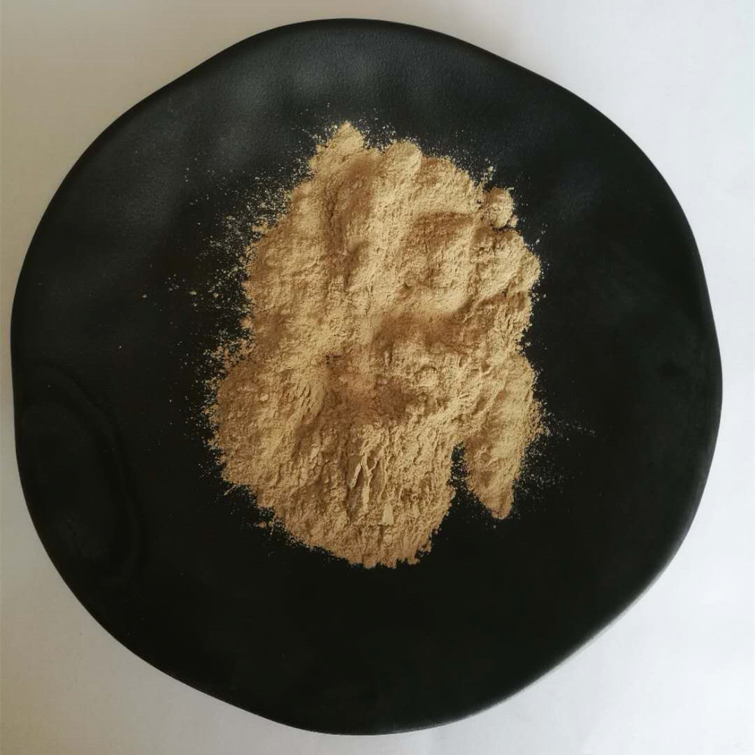 原矿硅藻含量较高的硅藻土经过选矿提纯或煅烧和表面改性的硅藻精土