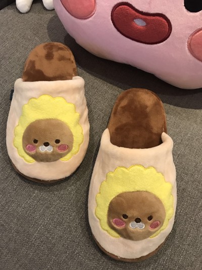 卡考kakao狮子ryan子屁桃鸭子居家防滑情侣地板棉拖鞋