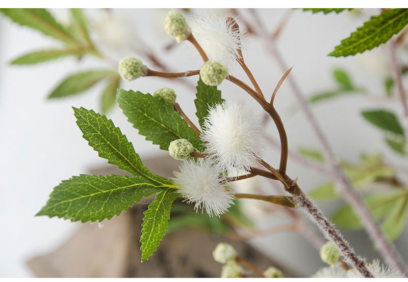 森系仿真植物单支毛毛果 手工diy毛丹果插花花艺室内婚庆假花