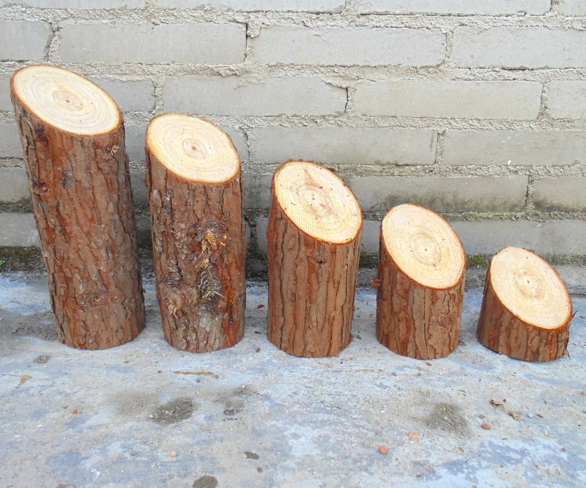 斜边木桩摆件 美式乡村天然杉木 木尖壁饰实木装饰品道具