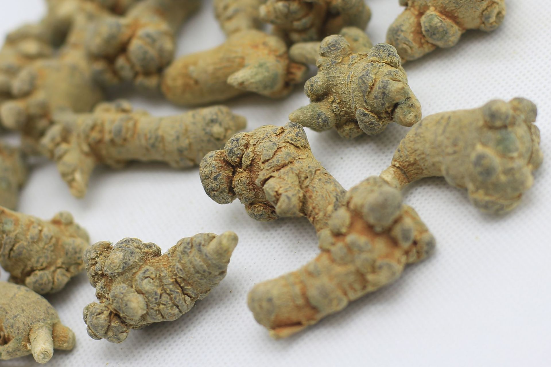 供应三七批发散装批发量大从优滋补佳品