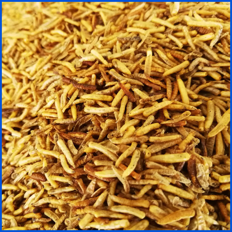 中药材批发 无骨虫 五谷虫 粉宠物食料 无菌蝇蛆