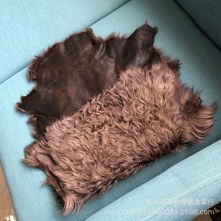 小湖羊皮毛一体