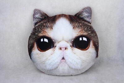 批发 创意动物喵星人抱枕可爱猫咪猫头抱枕 毛绒生日圣诞礼物靠枕