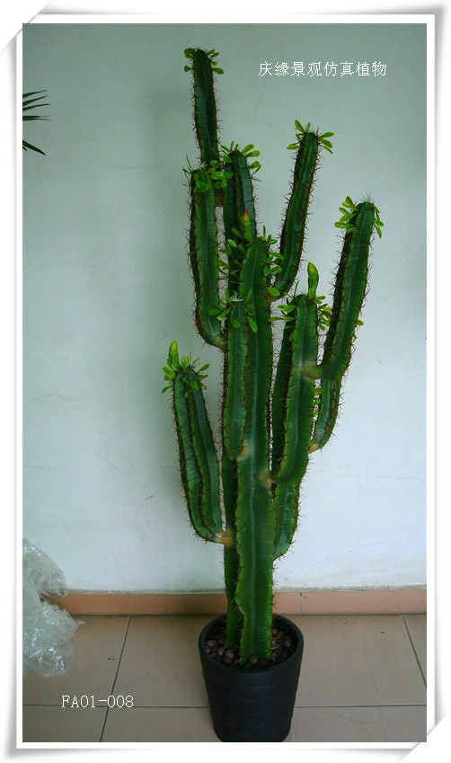 仿真仙人棒盆栽 沙漠热带风情 室内室外摆饰