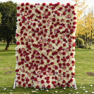 跨境专供 40*60仿真花墙草坪商场橱窗装饰绿植墙玫瑰绣球花排草坪