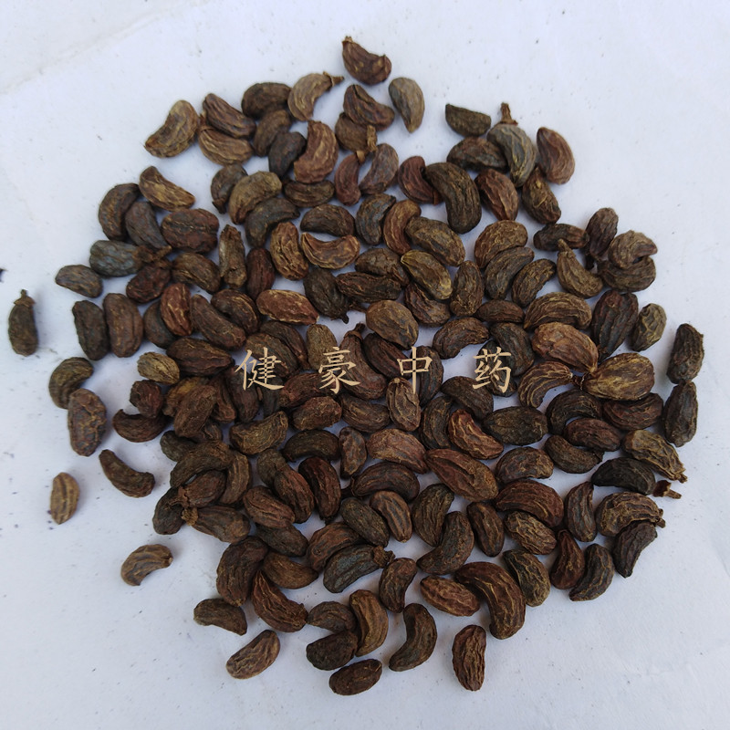 批发供应中药材女贞子别名女贞实 冬青子实物拍照欢迎进店采购