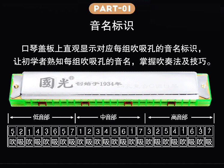 上海国光口琴24孔重音c调儿童初学者成人自学复音纸盒回声口琴