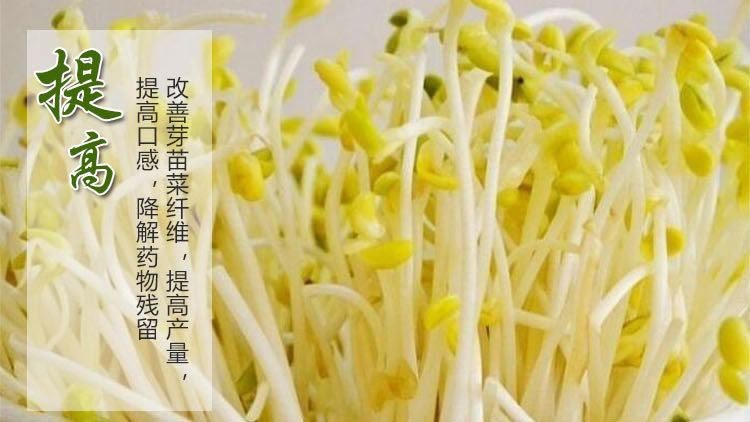 芽苗菜营养液功能