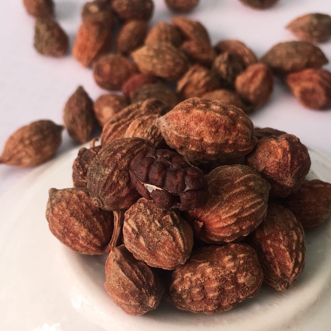 中药材益智仁小砂仁去皮砂仁 天然调料香料 批发哦