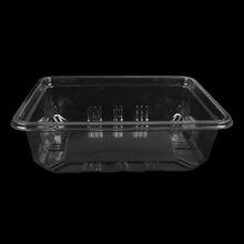 一次性透明pvc塑料包装盒速冻食品内衬水果保鲜盒可定做福建