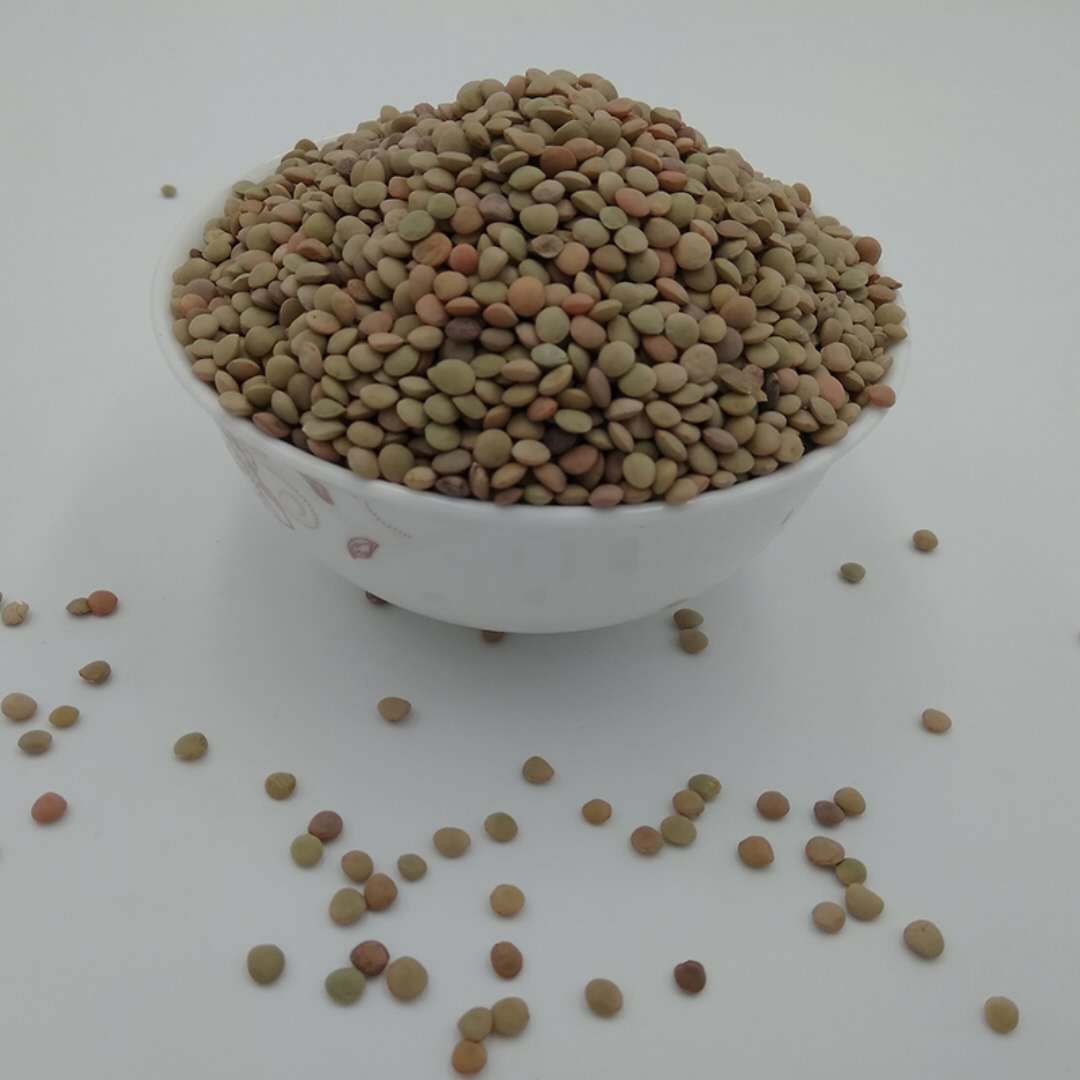 本地特产绿扁豆 小扁豆 扁小豆 药豌豆 冰豆凉粉原料五谷杂粮批发