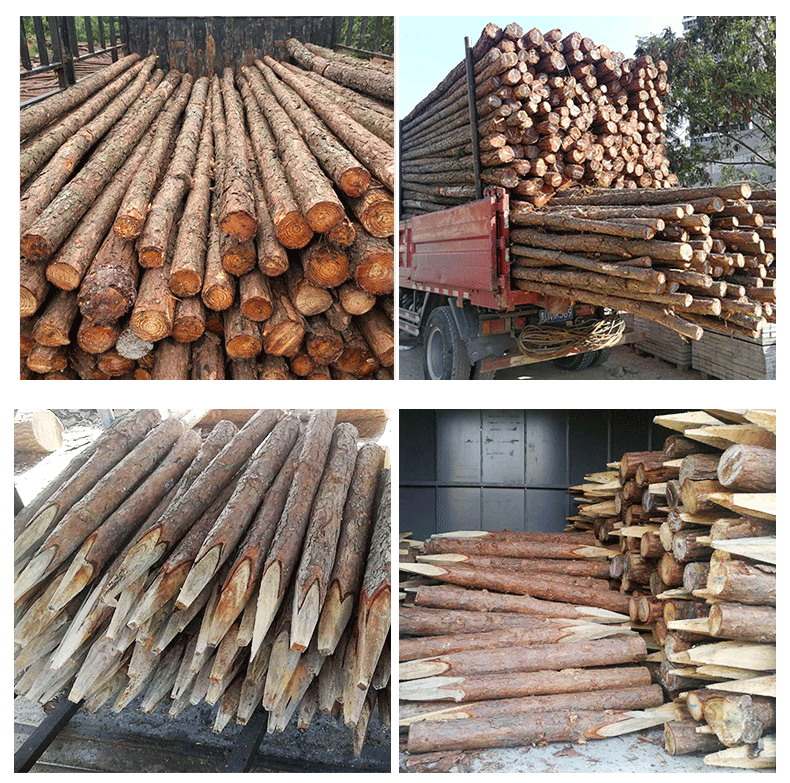 松木桩广州原木松木 油松制作打桩木2米 支撑木原木桩厂家