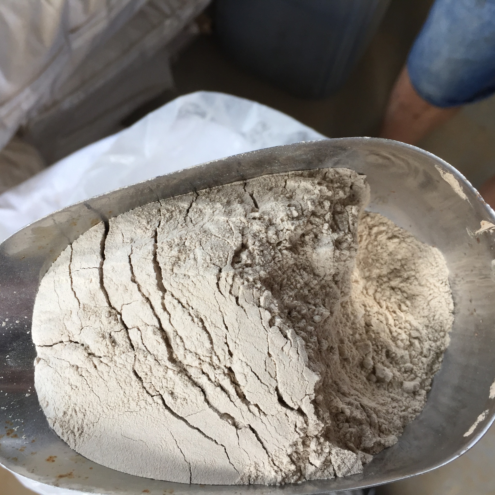 硝化细菌水产污水净化用微生物菌粉高含量硝化细菌