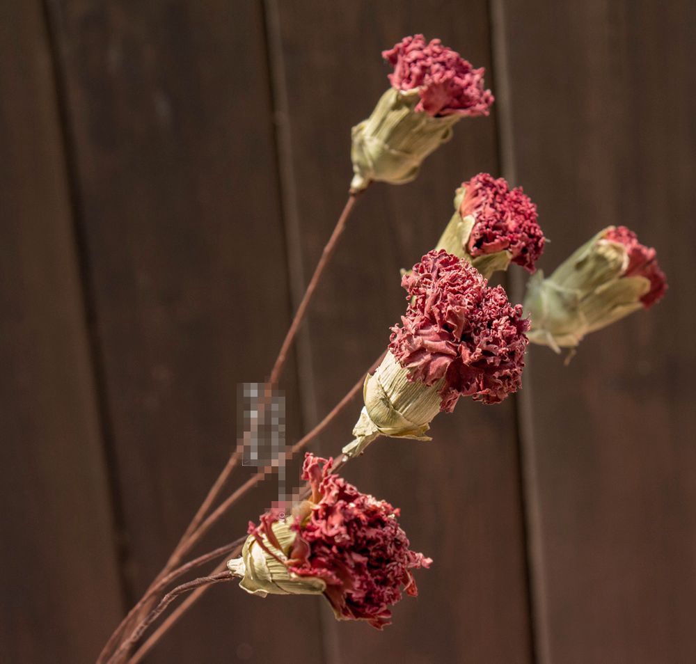 风干康乃馨干花手工插杆复古做旧风格店面装饰