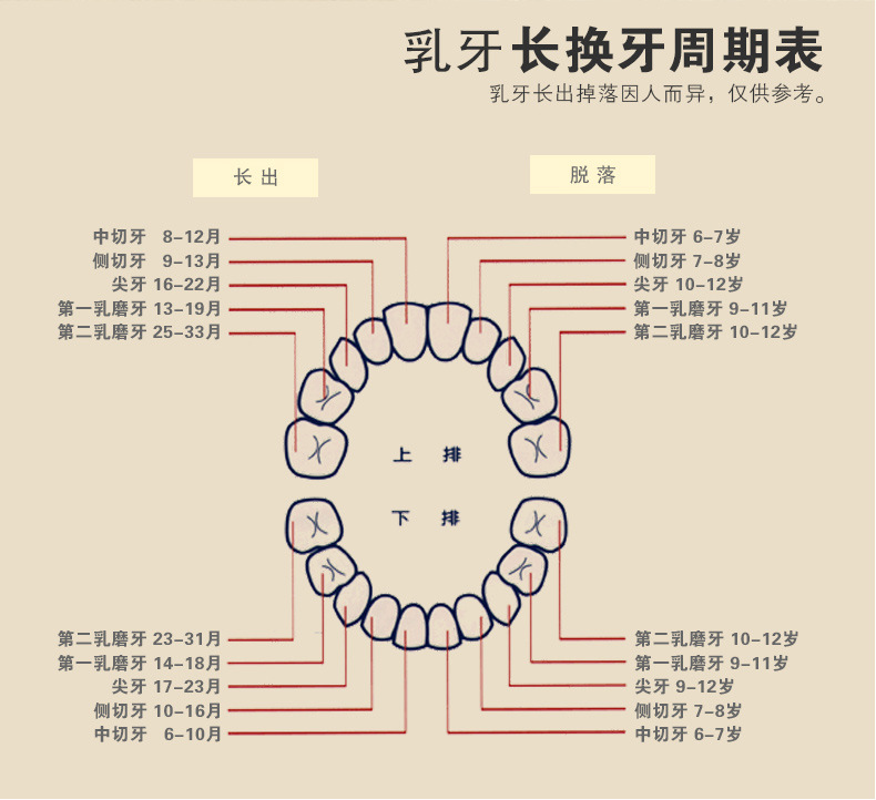 宝宝木质相机乳牙保存纪念盒 男孩女孩胎毛牙齿存放收藏屋仿真万