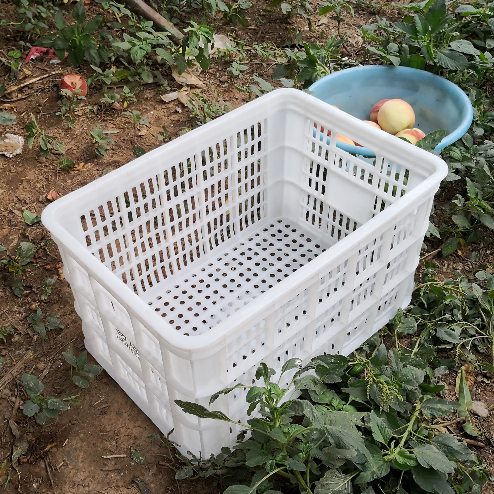 水果框 塑料 装桃子苹果框全新料塑料框耐用抗压白色框蔬菜周转筐
