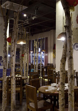 仿真白桦树干 真杆实木白桦树干 酒店餐厅摆放修饰美观白桦树干