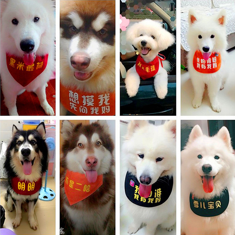 【改字版】定制名字大狗围巾松狮萨摩耶金毛狗围嘴阿拉斯加口水巾