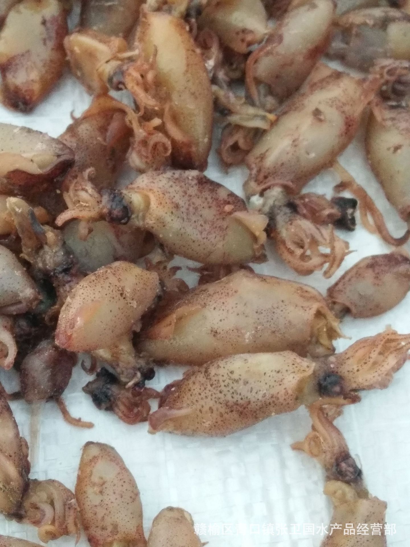 厂家批发渔民新晒 野生小海兔 籽乌 小墨鱼 海兔 500克小海兔
