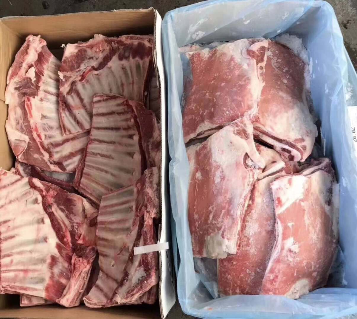 新西兰71羔羊全排 烧烤用羊排 新西兰进口羊肉 烧烤食材批发