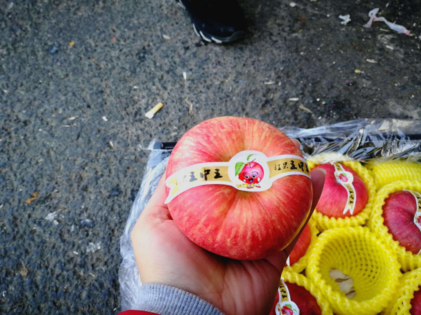 新鲜大连苹果 团购批发 新发地南粤大地公司