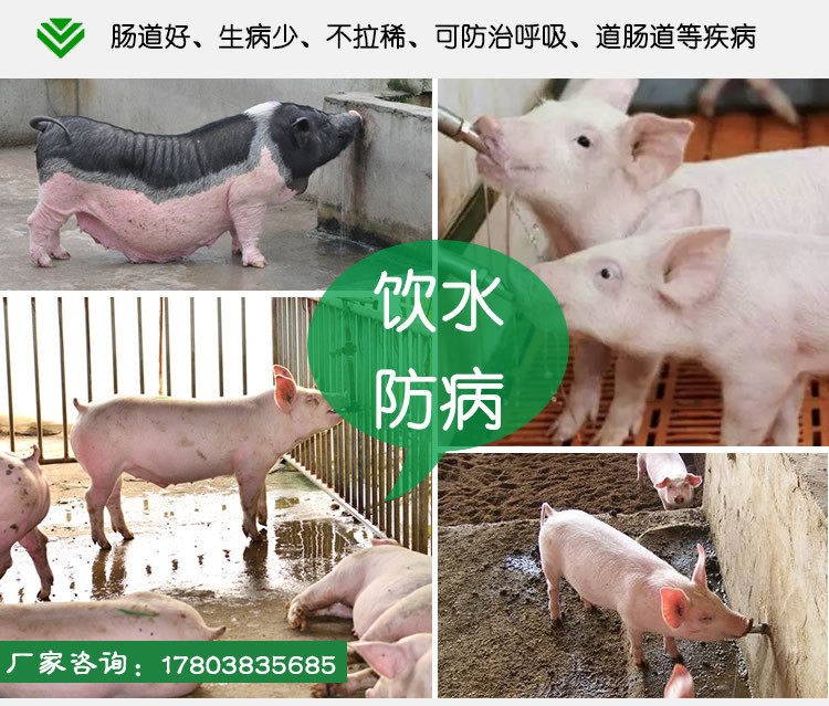 兽用益生菌